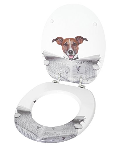 Sanilo WC Sitz ohne Absenkautomatik, hochwertiger Toilettendeckel, einfache Montage, stabile Scharniere, Newspaper