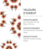 Maison Berger – Recarga de lámpara de Pastor de Terciopelo...