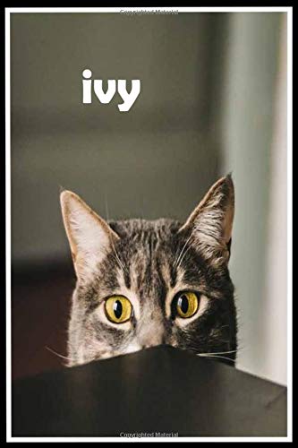 ivy: Personalized cat Sketchbook For Girls & kids With Name - 6x9 120 Pages.Birthday gift idea.: baby girl gifts Kawaii cute journal,sketching a ... 110 Pages, 6x9, Soft Cover, Matte Finish