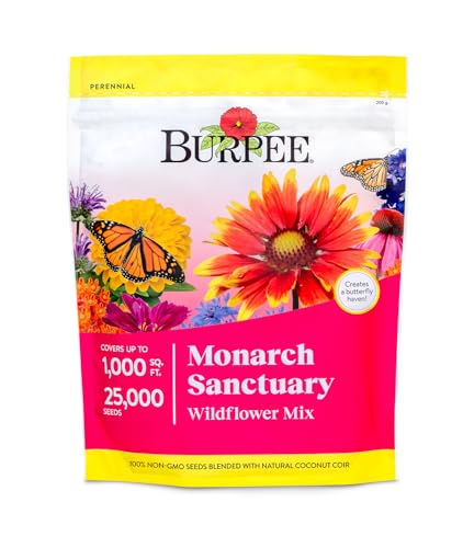 Burpee Wildflower Mix Monarch Sanctuary Seeds | 25,000 Non-GMO Seeds, 3 Types of Butterfly Weed Plus Cornflower, Lupine, Echinacea, and More | Pollinator Garden Attracts Monarch Butterflies