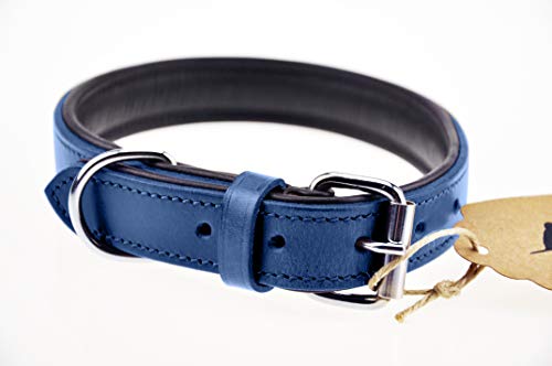 Schnüffelfreunde Halsband für Hunde aus Leder, Hundehalsband für den großen, mittleren und kleinen Hund, Lederhalsband gepolstert, robust (L - 36-45cm, Blau)