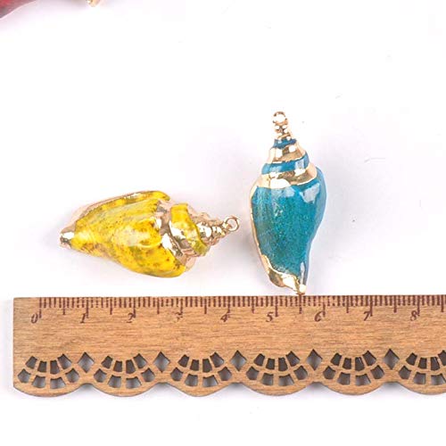 Accessoires d'artisanat coquillages de mer dorés pour loisirs - 6