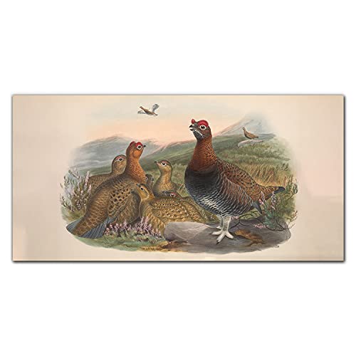 Décoration tableau en verre acrylique 100x50cm oiseaux colorés