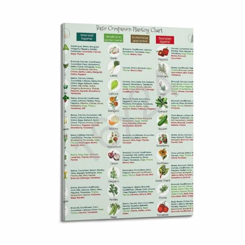 Image of GHJFDF Basic Companion Planting Chart Poster Garden Planting Types Reference Guide Wall Poster for Room Aesthetic Posters 16x24inch(40x60cm)