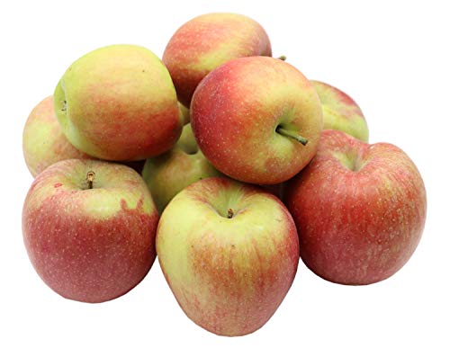 Bleichhof-Aepfel-Braeburn-suess-herbe-knackige-Sorte-aus-der-Pfalz-5kg