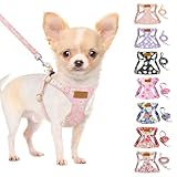 SlowTon Hundegeschirr mit Leine, No-Pull leichtes weiches Wildleder-Welpengeschirr mit Blumenmuster und Schnappschnalle, verstellbares Geschirr Hund für kleine und mittelgroße Hunde XS