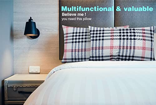 Homerz Premium Set of 2 Organic Cotton Kapas Filled Pillow with Firm Medium Hardness, 16 x 24 Size, 700 gm Pillow