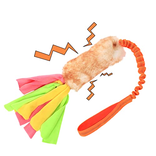 Giocattolo per Cani, Corda Elastica per Tiro Alla Fune con Squeaky per Cani di Taglia Piccola, Media e Grande, Giocattolo da Tirare per Addestramento dei Cuccioli per Esercizi e Giochi Interattivi