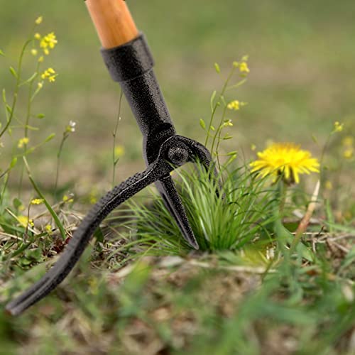 ECOgardener Stand Up Weed Puller - Garden Hand Weeder Long Handle Heavy Duty Claw Head Design, Best Manual Weed Pulling Tool for Gardening - Thumbnail 3