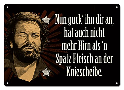 Blechwaren Fabrik Braunschweig GmbHBlechwarenfabrik Braunschweig Bud Spencer Nun guck ihn dir an, hat auch nicht mehr Hirn, als Sparrow Meat an der Patella Postcard in Sheet Metal, Multi-Colour, Dimensions: 10.5 cm x 14.8 cm, 302/B003