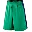 Green (Stadium Green/Binary Blue/Black)
