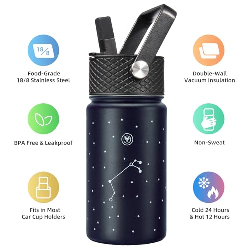 Image of BJPKPK Insulated Water Bottle, 15oz Stainless Steel with Straw Lid