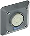 Hubbell Wiring Device-Kellems Locking Receptacle,Industrial,30,Gray