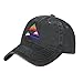 SwpWab Panromantic Asexual Genderfluid Triangle Pride Flag Adjustable Cotton Peaked Cap Available for Men Women Black