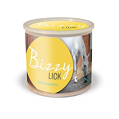 Waldhausen Bizzy Horse Leckstein, 1 kg, Knoblauch