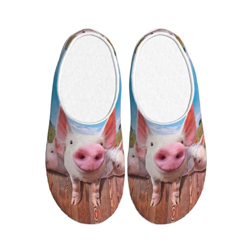 Chaussons rigolos cochon EdWal, le cadeau d'hiver idéal et mixte