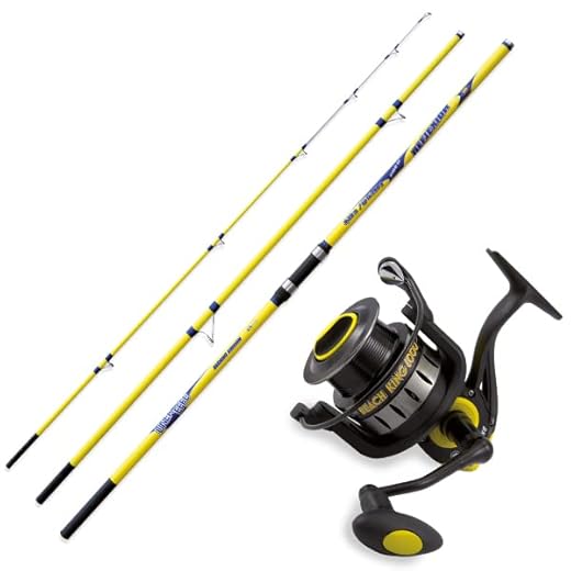 Combo pesca surfcasting | Caña de Surfcasting Lineaeffe Reflexion LR 4,20 m Acción 250 gr+ Carrete Lineaeffe Beach King 6000
