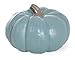 Boston International Pumpkin Decorative Table Accent, Small, Teal