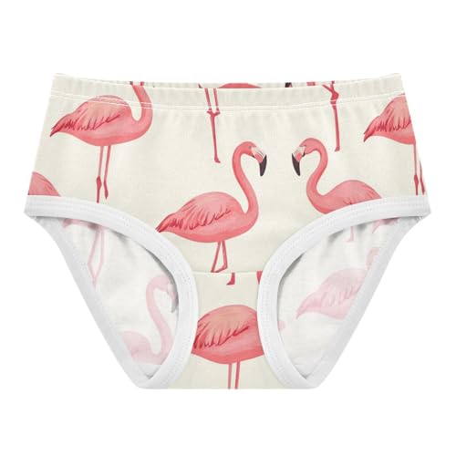 Wusikd Pink Flamingos Girls' Underwear Cotton Girls Briefs Soft Toddler Underwear 2T