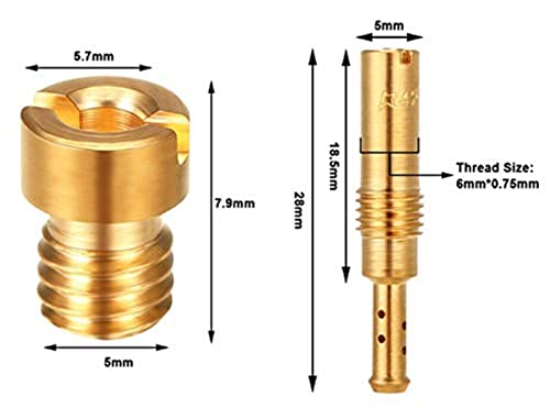 Tuijodaix 11 Pcs Carburetor Main Jet &10 Pcs Slow/Pilot Jet With Carburetor Carbon Dirt Jet Cleaner Tool Kit,Compatible With Pwk Keihin Oko Cvk #TOP4