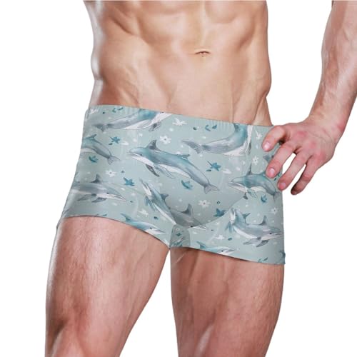 Dolphins Animal Mens Swim Trunk Swimwear Bathing Suit Swim Brief Square Leg Board Short S B04035623