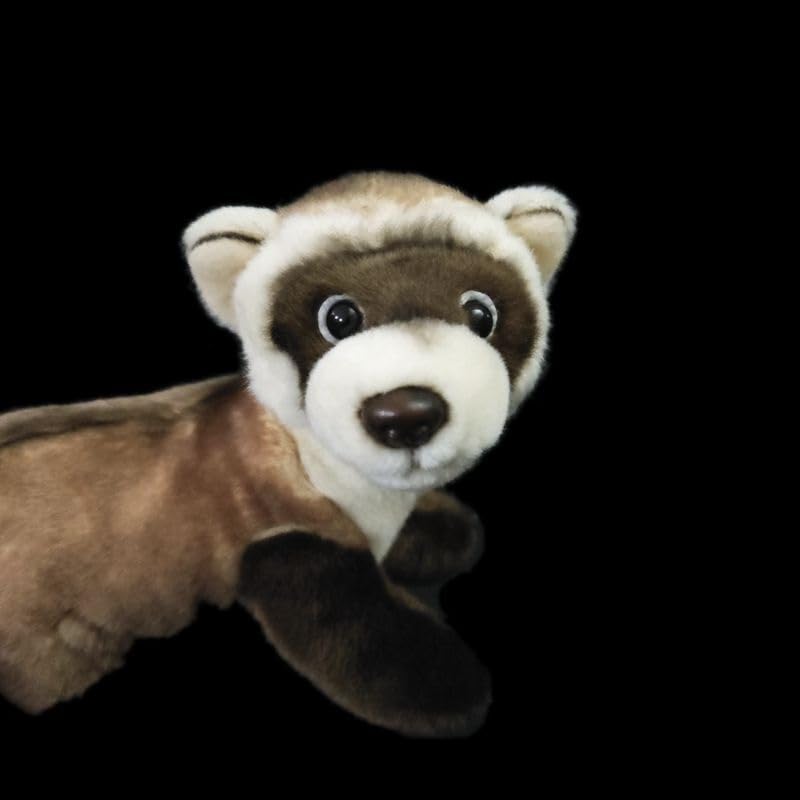Peluche furet à pattes noires, adorable poupée pour réchauffer les cœurs - 6