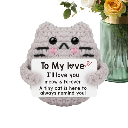 Gatto positivo fatto a mano – Mini peluche per sostenere emotivamente | Regalo ispiratore antistress per donne, ragazze, adolescenti e amici, graziosa decorazione da scrivania a maglia con animali