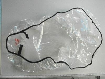 Chariot Rain Cover Cabriolet Carriers Photo