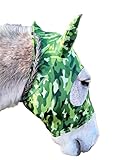 FOR WELLNESS HORSE