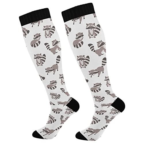 Wusikd Cartoon Raccoon Compression Socks for Women and Men Circulation Funny Long Socks for Athletic Running 1