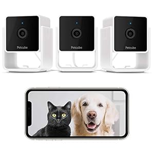 Petcube Pack of 3 Cam Pet Monitoring Camera with Built in Vet Chat for Cats Dogs Security Camera with 1080p HD Video Night Vision Two Way Audio Magnet Mounting for Entire Home Surveillance