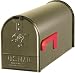 Vamundo Elite Buzón de Correo de Estados Unidos Original de Acero, Color Bronce, Talla T1