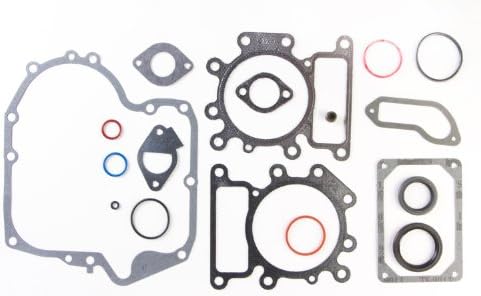 Amazon.com: Briggs & Stratton 796187 Engine Gasket Set Replaces  