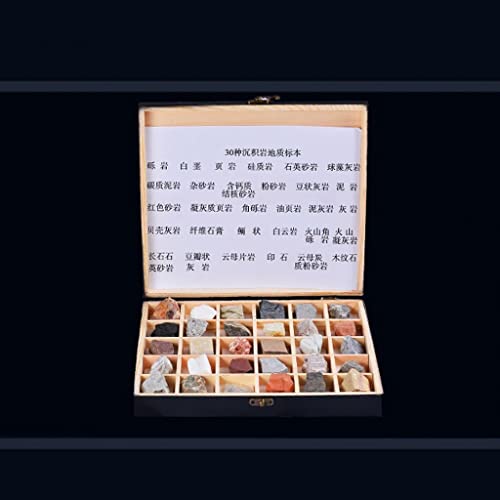 Kit de sciences naturelles avec collection de roches et boîte d'identification