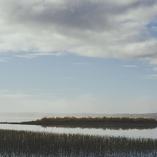 Warmth & Human Is Alive