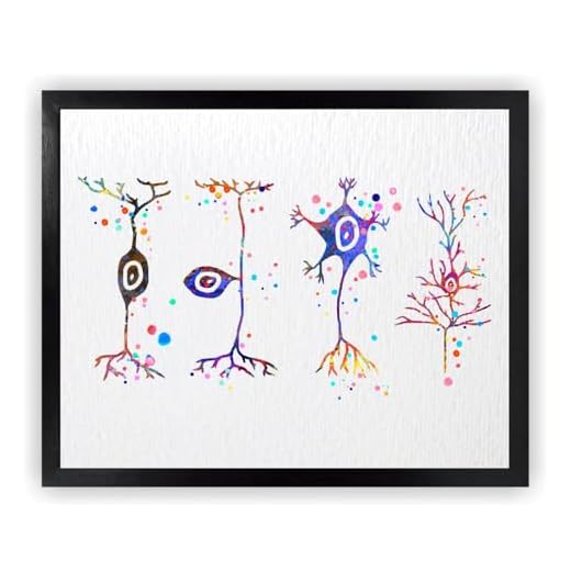 Dignovel Studios 8X10 Unframed Neuron Types Art Science Neurology Medical Art Brain Neuroscience Neurologist Office Clinic Watercolor Art Print Poster Wall Art Nursery Kids Office Home Decor DN580