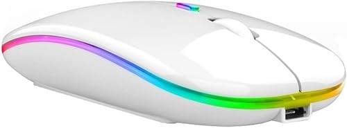 Rechargeable Wireless Mini LED Mouse, Slim Silent Cordless Design, Adjustable Levels, Noiseless, USB Receiver, Compatible with PC, Laptop (Silver)