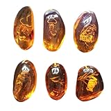 Ambre-- l'ambre est une résine fossilisée provenant de forêts anciennes. ce produit est de l'ambre naturel, qui a été traité thermiquement et sous pression pour créer votre produit parfait.