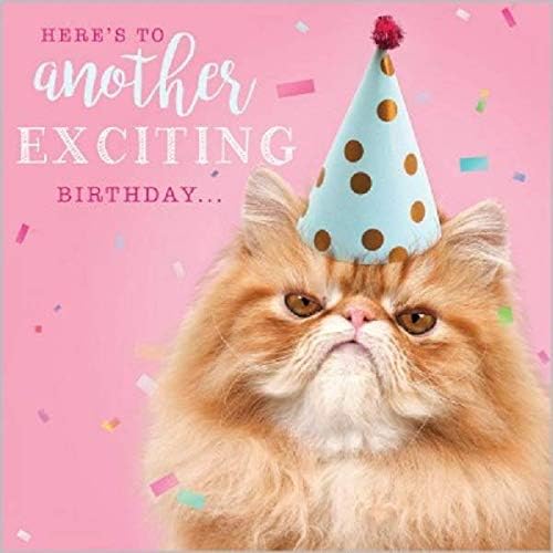 Greetings Card - Birthday Card (ABA6846) - Another Exciting Birthday - From The Rapture Range.