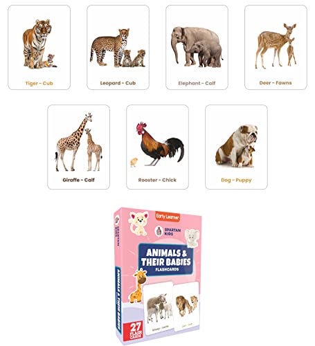 Image of Spartan Kids Flash Cards for New Born Baby and Flash Cards for 1 Year Old, 1 + Year Old Baby and 3+ Year Old Early Learning Combo Pack of 20 for Toddlers