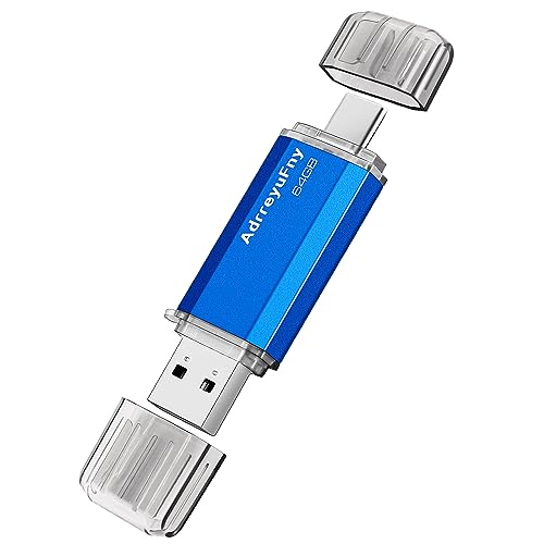 Chiavetta USB Tipo C 64GB, Penna USB C 64 Giga 2 in 1 OTG Pen Drive USB 2.0 Stick Memoria Portatile Flash Drive per Smartphone, Laptop, PC, Tablet (Blu)