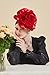 Gionforsy Flower Fascinators Hat Tea Party Hats for Women Rose Fascinators for Wedding (US, Alpha, One Size, Red)