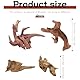 GUOYOU 4 Stück Treibholz Hardscape Aquarium Deko Basteln Aquarium Zubehör Terrarium Zubehör Holzstäbe Ornaments Holz Vasen Schalenfüller Deko für Reptilienbecken Holzdekor