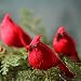 Factory Direct Craft Package of 12 Bright Red Artificial Cardinal Birds with Clips for Christmas Tree Ornaments