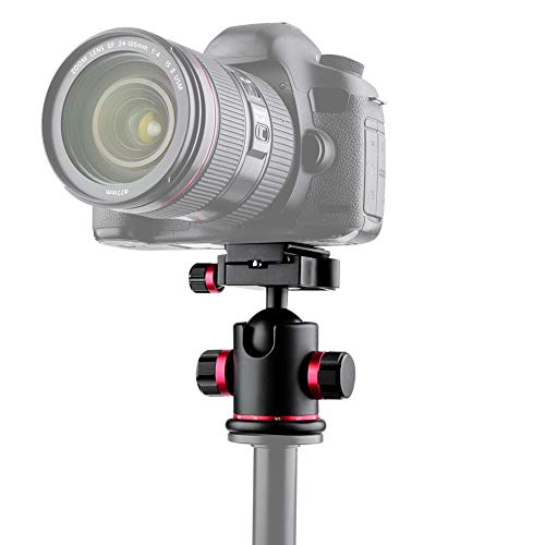 Testa per treppiede, testa a sfera panoramica con