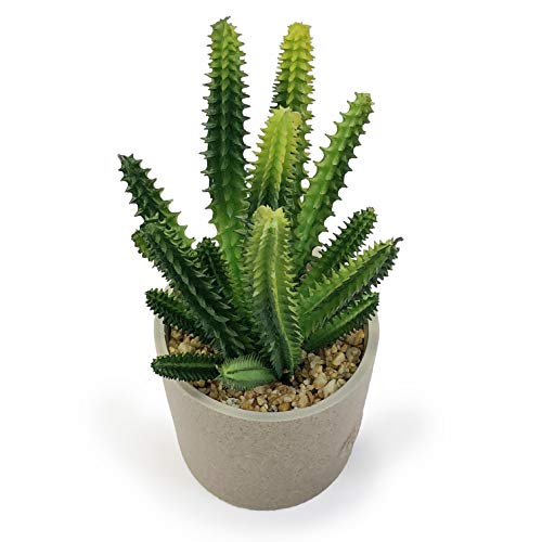allgala Small Clay Pot Artificial Succulent