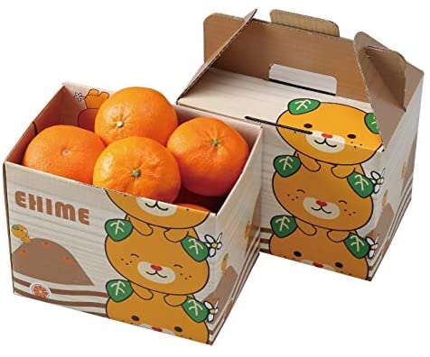 みかん 甘平」の人気商品一覧 | 安い商品を通販サイトから探す - 価格.com