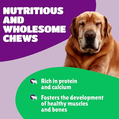 Healthy-Yak-Cheese-Himalayan-Chews-All-Natural-High-in-Protein-Odorless-Long-Lasting-Yak-Chews-for-Large-Dogs-Medium-Dogs-Yak-Cheese-Dog-Chews-for-Aggressive-Chewers-4-Large-Pieces
