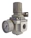 PneumaticPlus SAR4000M-N06BG Air Pressure Regulator 3/4 NPT with Gauge & Bracket