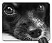 Produktbild Mauspads - Hundewelpen-Papillon mustert Schnauze-Nasen-Haar-Gesicht